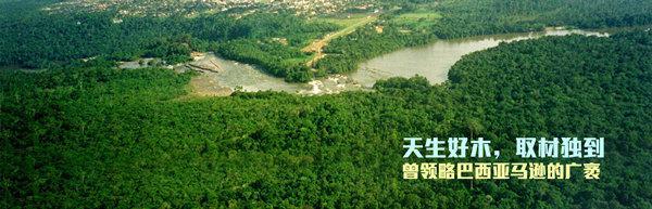 著名木地板品牌安信地板為你揭秘好地板是如何煉成的 著名木地板品牌安信地板為你揭秘好地板是如何煉成的
