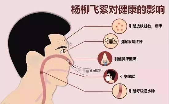 柳絮過敏讓你鼻子發(fā)癢，空氣堡新風(fēng)系統(tǒng)讓你舒爽