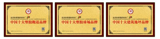 遠洋塑膠跑道14周年慶運動會：熱愛運動，活力迸發(fā)