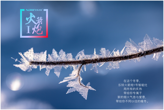 大雪:樂鈴火箭炮1號(hào)智能灶 享受暖冬里的煙火與愛意!